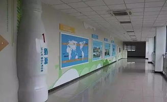 春意盎然，活力蘇州 從草莓采摘到千人徒步，一周熱門活動指南（2.27-3.5）